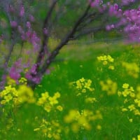 天気がはっきりしませんね