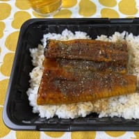 OK 中国産うな重