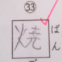 息子の中学生日記7/24「焼きご飯？」