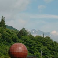 今日も晴れてます