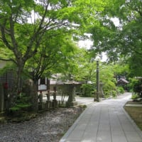 2025.6.26.　 2025年6月5回目極楽寺・極楽寺山・屋代コーストレッキングと蛇の池は満開のスイレン