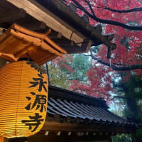 雨の中の紅葉ツアー「永源寺」
