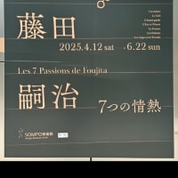博物館浴（SOMPO美術館「藤田嗣治　7つの情熱」）