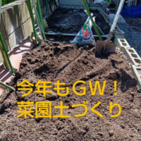 【我菜園便り】ＧＷ！夏野菜の土づくり＆苗