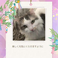 夏の玉座