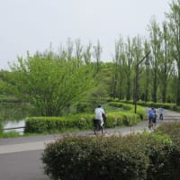 水元公園 Apr-20-2024