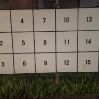 明日公示