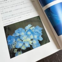 書籍化