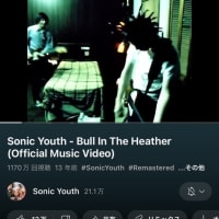 Sonic Youth Bull In The Heather