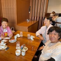 とうとう、、、、！