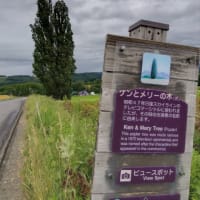 リサの北海道旅行㉖　旭川ラーメンとケンメリの木・セブンスターの木🌳