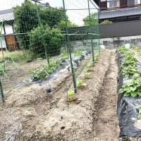  5月27日(火)②