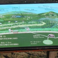 私の撮った富士山達2