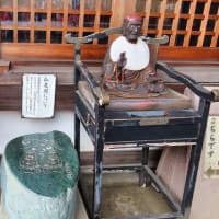 おふさ観音　春バラ祭り　＆アジサイ　庭の黒猫