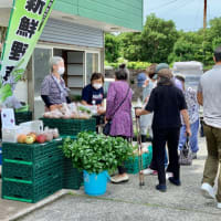 炭酸水で炊くご飯 八丈島のおいしい暮らし 炭酸水で炊くご飯 八丈島のおいしい暮らし