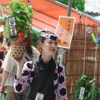 金龍山浅草寺の酸漿市