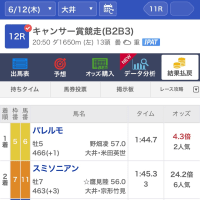 愛馬パレルモ大井B2特別戦優勝！！