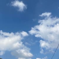 いいお天気☀️