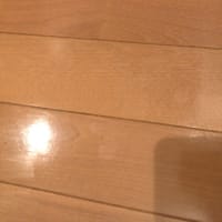 かろうじて？池田征広です