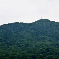2025.07.02(火)AM07:45の藻岩山・平和祈念塔・手稲山・三角山・円山