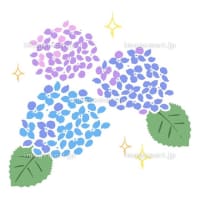 (-_-;) ６月の反省・７月の愉しみ !(^^)!