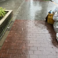 ゲリラ豪雨