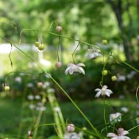 中島公園 → 滝野公園　サイクリング