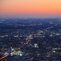 １１月の４枚【秋】