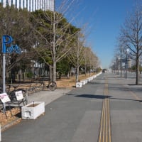 １月のお台場：ウエストプロムナード散策道を通り抜けてダイバーシティ東京前へ　ＰＡＲＴ２