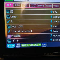 カラオケセトリ - RED a knot