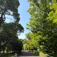 おすすめは愛の可視化✨
