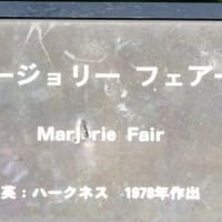マジョリー フェアー〈Marjorie Fair　バラ〉　