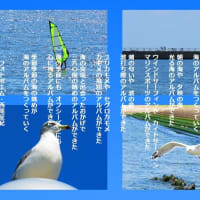 海のアルバム