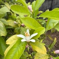 よくつかろう。