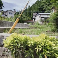 庭の仕事がおわりました