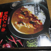 むすびやカレー、湯布院のビール