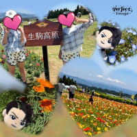 和田毅ラボ実践編～♪