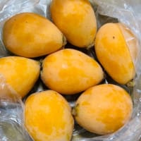楽しい朝食→ご近所さんから「びわ」いただきました〜(o^^o)