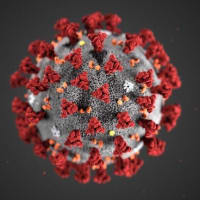 新型コロナウイルスは武漢ウイルス研究所の石正麗研究員とそのチームが生成し流出させた