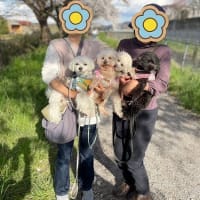 お花見散歩でワン友さんと♪