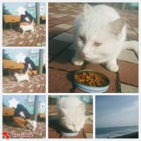 海の近くで
