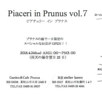 Piaceri in Prunus VOL.7