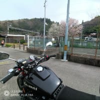 今日は休養日。
