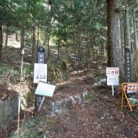 群馬１００名山「岩櫃山」を登る