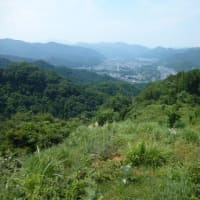 寝苦しい夏になりました（　＆　老人とニャン　）の巻