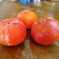 熟柿