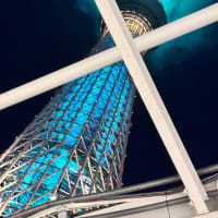 今日いち-2025年6月25日ースカイツリーに癒されたー