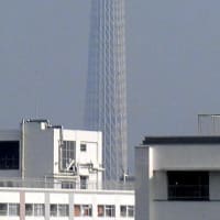 ２０２５／７／８の朝の東京スカイツリー