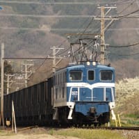 顔付が違うやつ