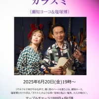 久しぶりの、カラスミ♪